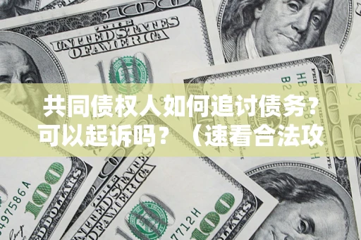 济南共同债权人如何追讨债务？可以起诉吗？（速看合法攻略）